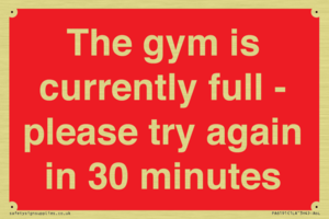 The gym is currently full - please try again in 30 minutes